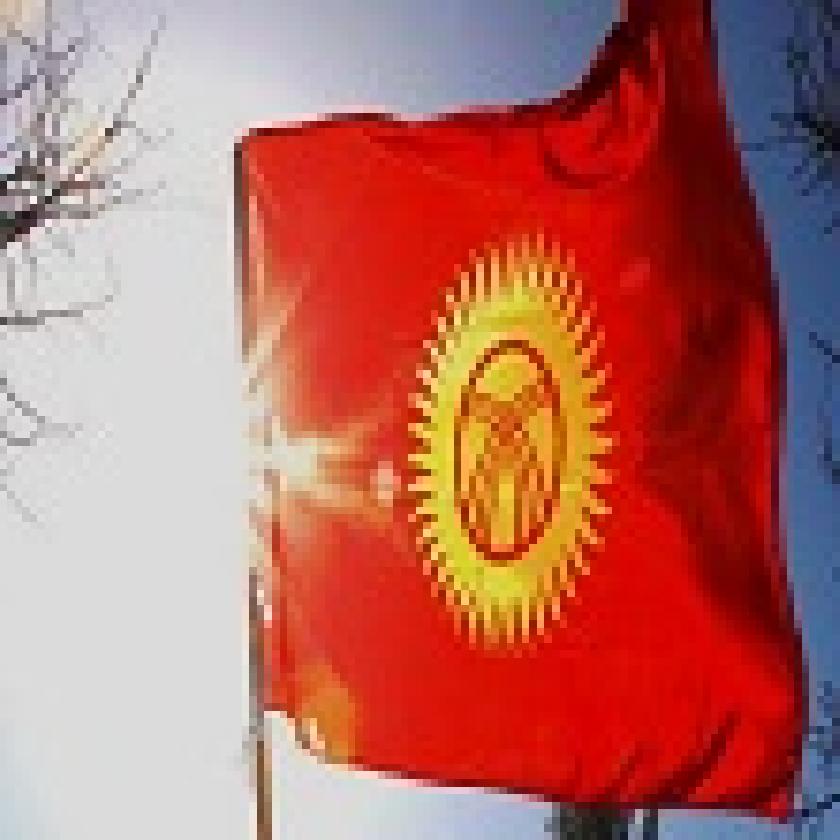 BUĞDAY MESLINVE AYÇIÇEĞI TOHUMLARININ IHRACATI GEÇICI OLARAK YASAK